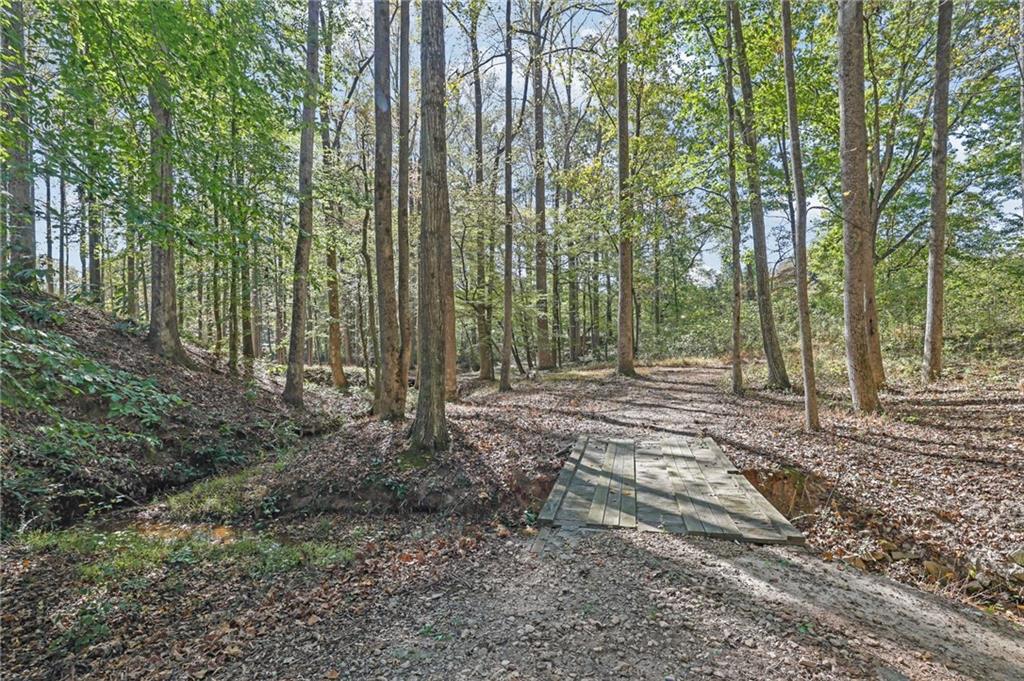 2325 Mountain Road Alpharetta, GA 30004 - Photo 7 of 70