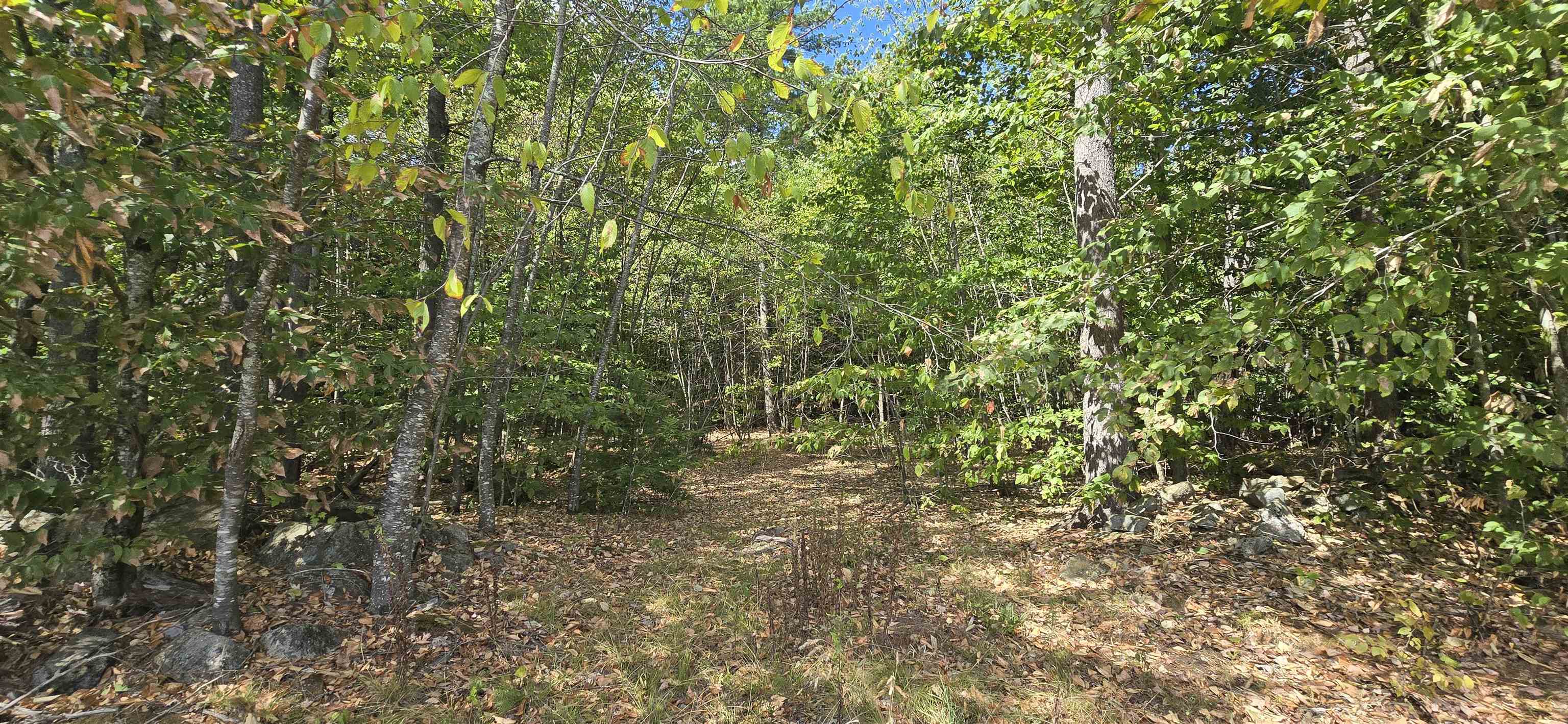 423-56 Griffin Road Gilmanton, NH 03237 - Photo 1 of 13 Gallery Image 1