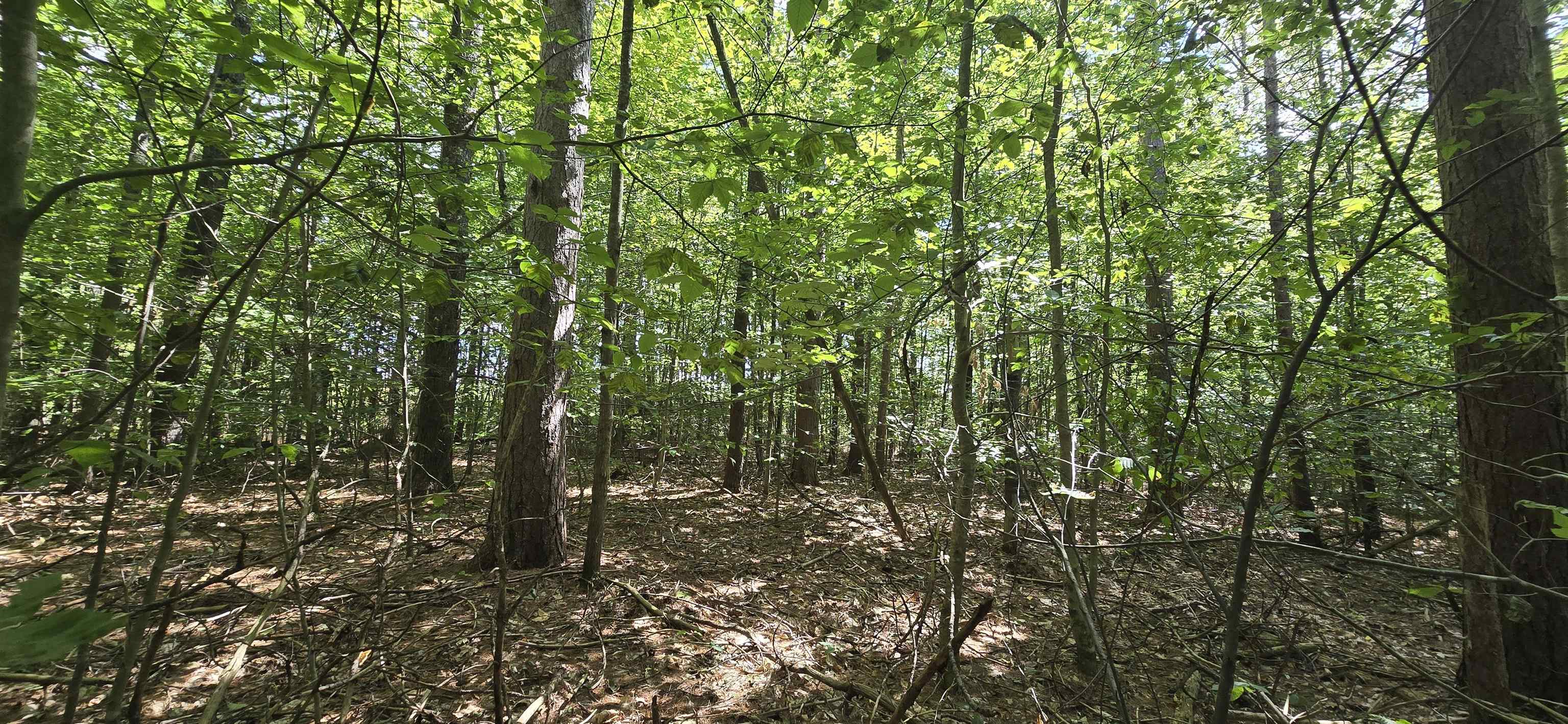 423-56 Griffin Road Gilmanton, NH 03237 - Photo 11 of 13 Gallery Image 11