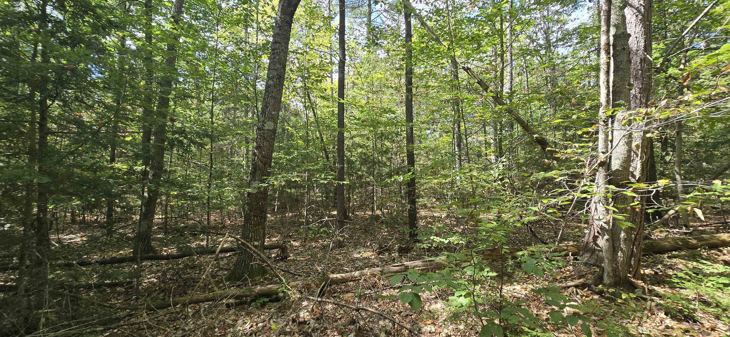 423-56 Griffin Road Gilmanton, NH 03237 - Photo 12 of 13 Gallery Image 12