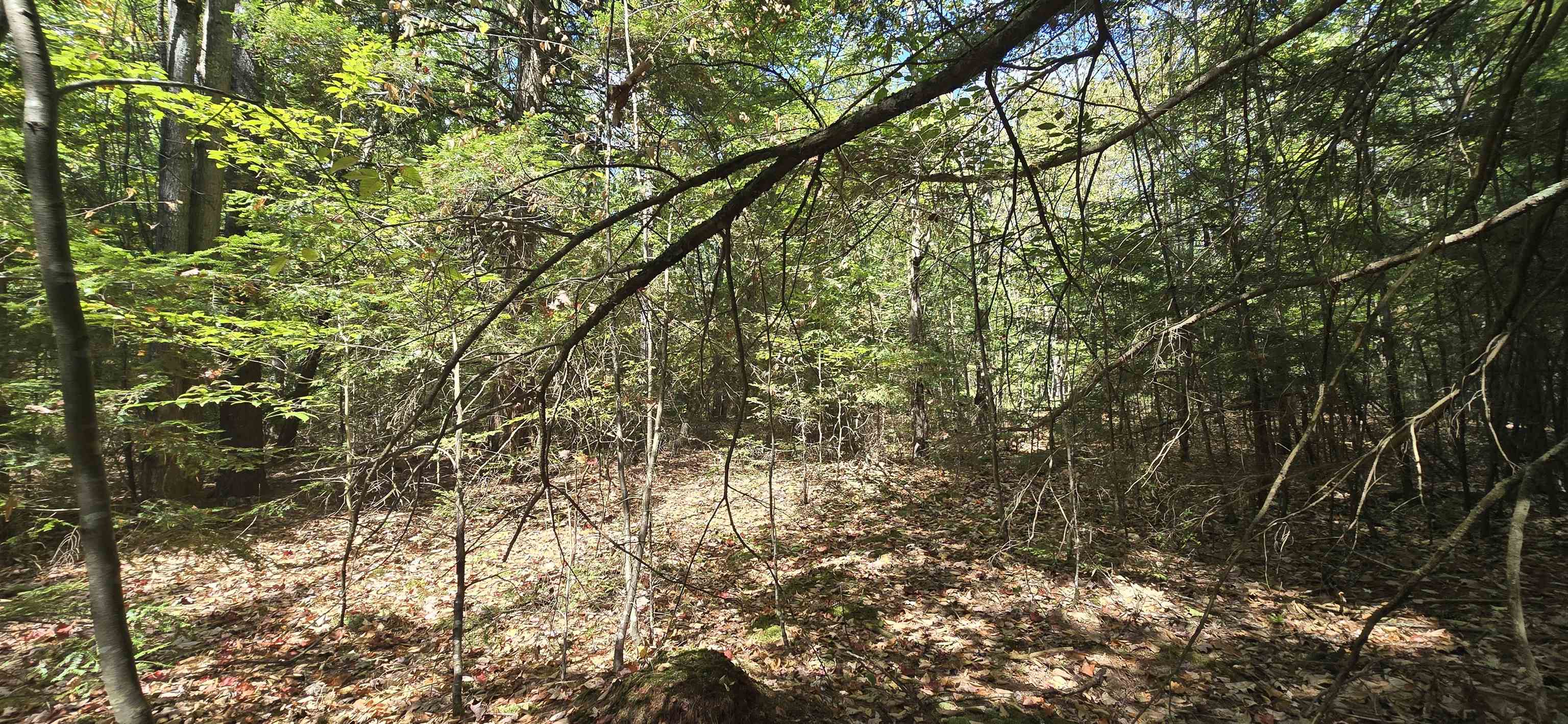 423-56 Griffin Road Gilmanton, NH 03237 - Photo 13 of 13 Gallery Image 13