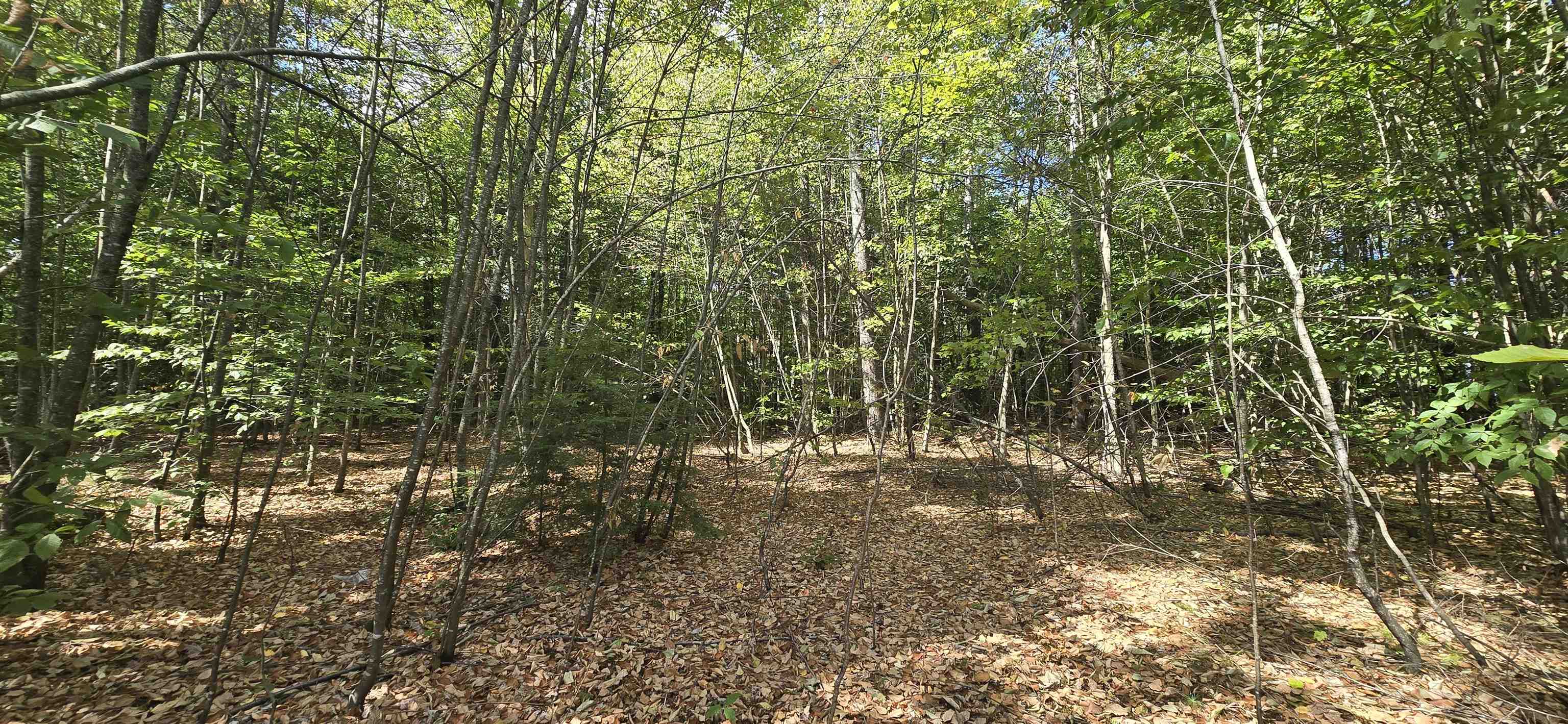 423-56 Griffin Road Gilmanton, NH 03237 - Photo 2 of 13 Gallery Image 2