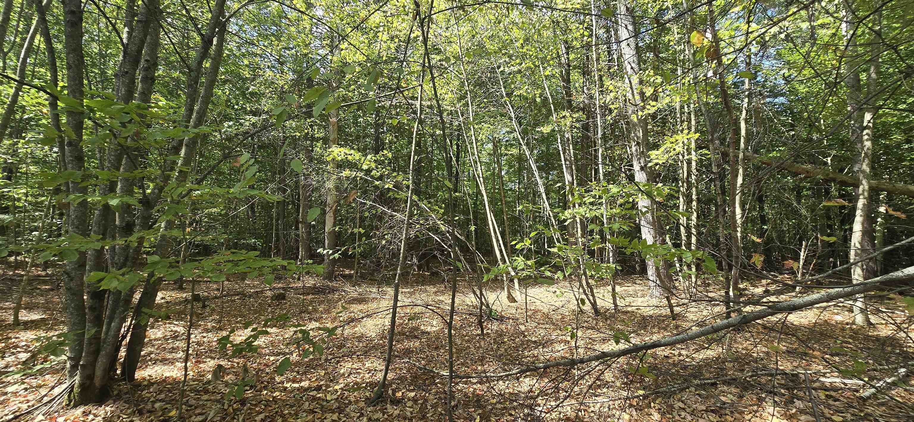 423-56 Griffin Road Gilmanton, NH 03237 - Photo 3 of 13 Gallery Image 3