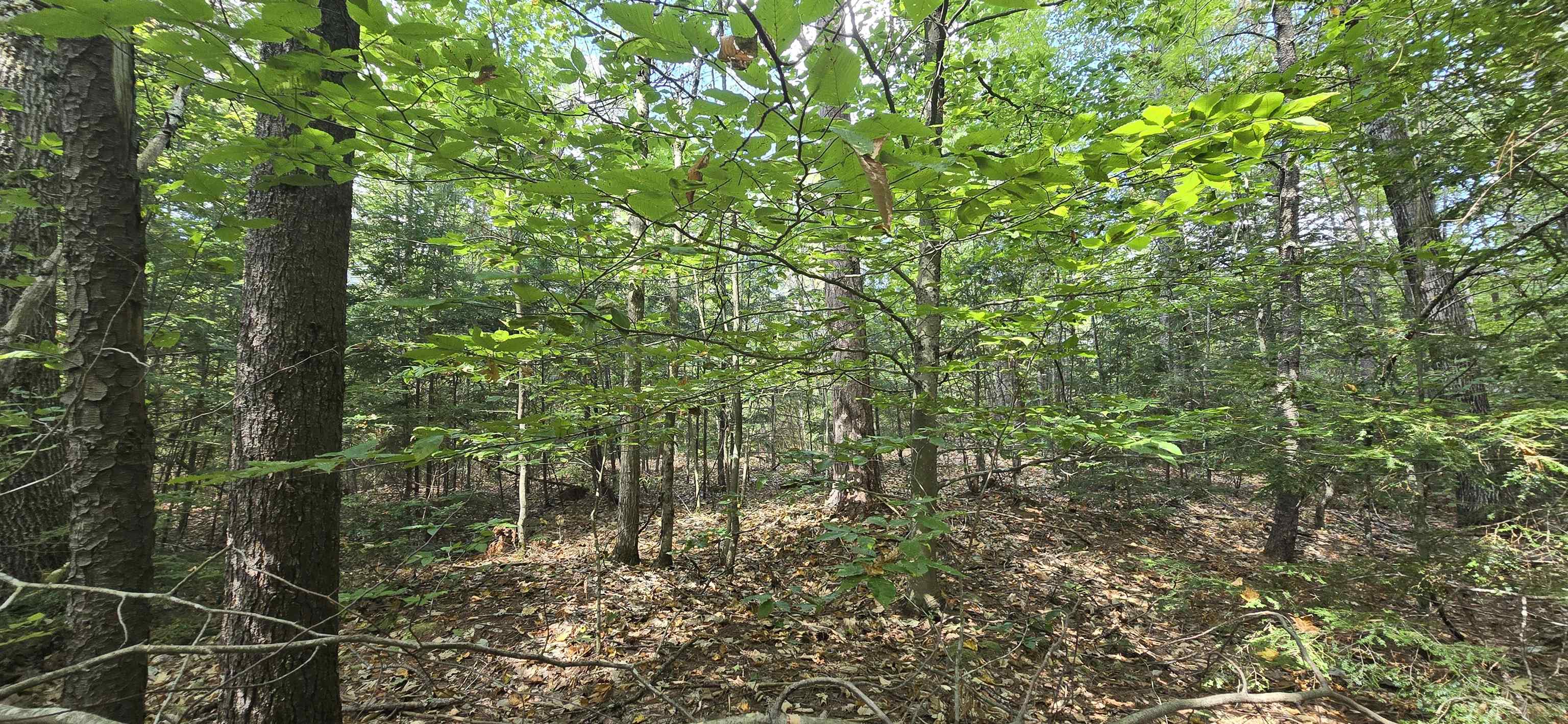 423-56 Griffin Road Gilmanton, NH 03237 - Photo 10 of 13 Gallery Image 10