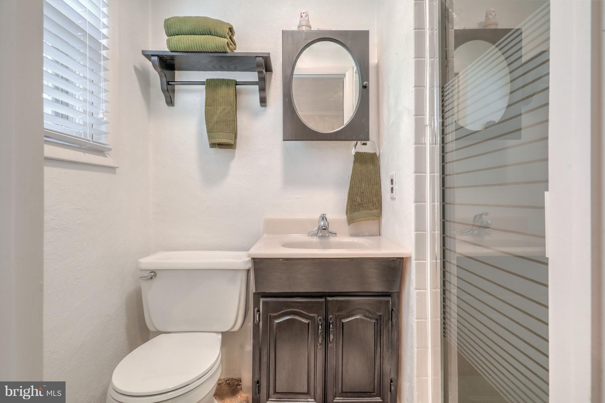 650 Norman Road York, PA 17406 - Photo 18 of 36 Lower Level Full Bathroom (standup shower)
