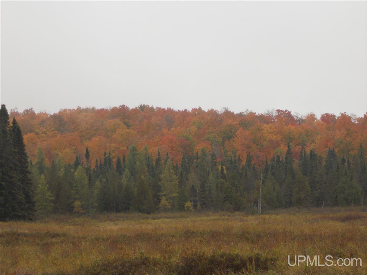 640-acres Peshekee Grade Road Skanee, MI 49946 - Photo 17 of 37