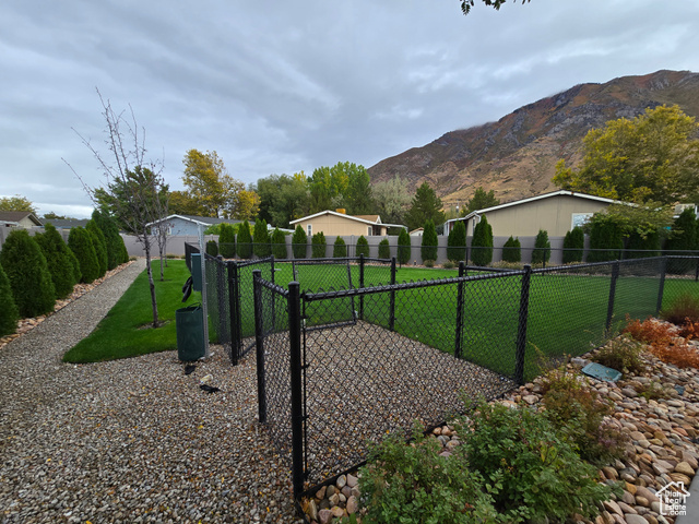 1025 North 300 West, Unit 1 Springville, UT 84663 - Photo 32 of 35 View of yard with a mountain view and a dog friendly area