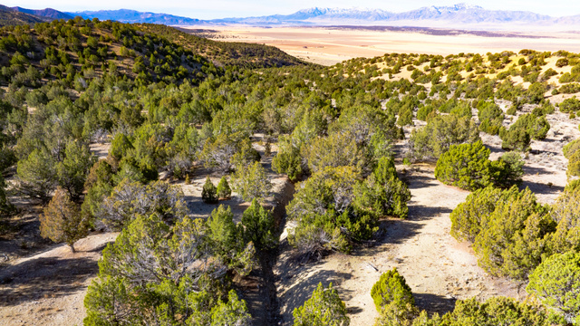 0 County Road 28 Levan, UT 84639 - Photo 156 of 207