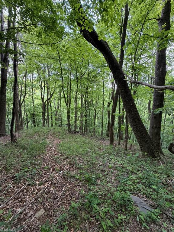 Tbd Ben Bolen Road Creston, NC 28615 - Photo 21 of 22 Gallery Image 21