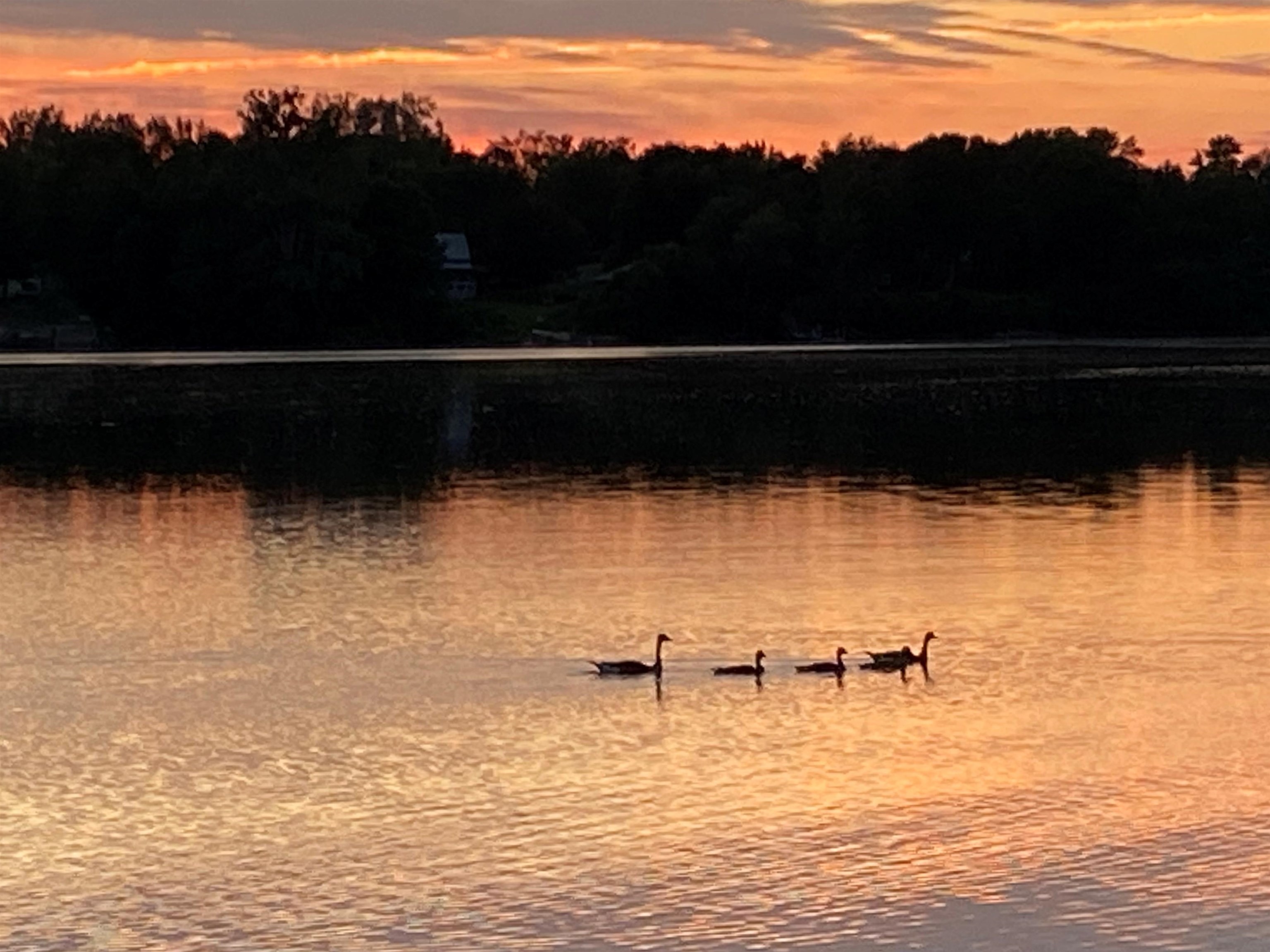 1468 Savage Point Road North Hero, VT 05474 - Photo 40 of 40