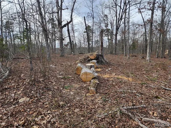 $99,900 | 0 County Road 434, Piedmont, MO 63957