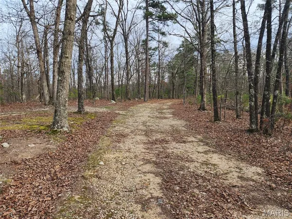 $99,900 | 0 County Road 434, Piedmont, MO 63957