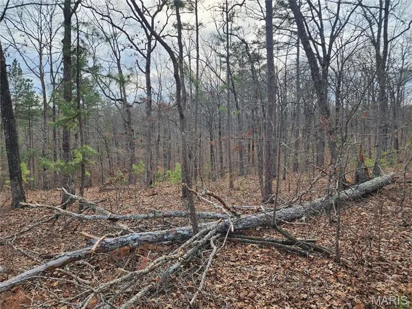 $99,900 | 0 County Road 434, Piedmont, MO 63957