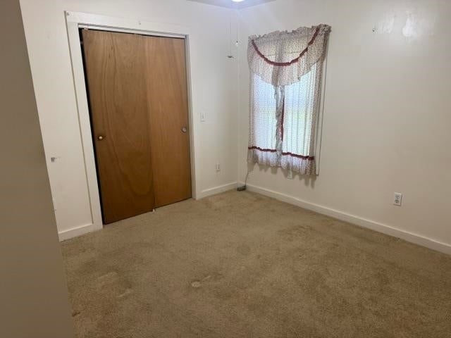 410 North Butler Road Horse Cave, KY 42749 - Photo 8 of 16 Gallery Image 8