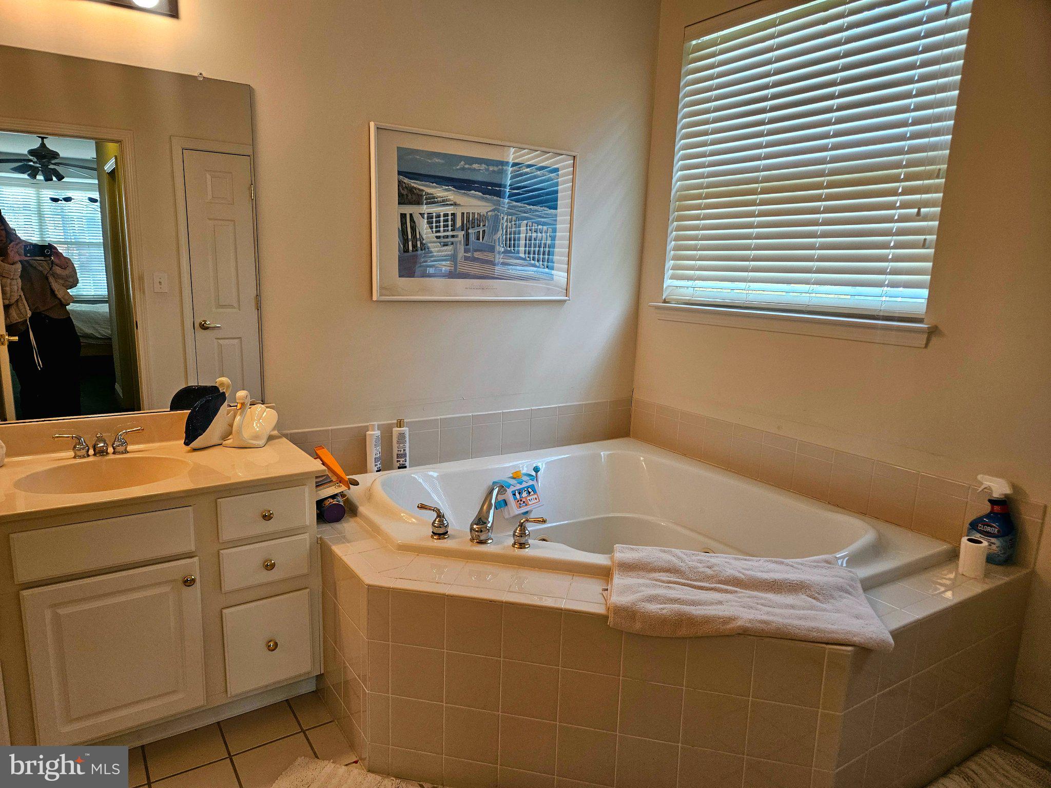 434 Golf View Drive Little Egg Harbor, NJ 08087 - Photo 15 of 24 Serene bathroom with inviting tub.