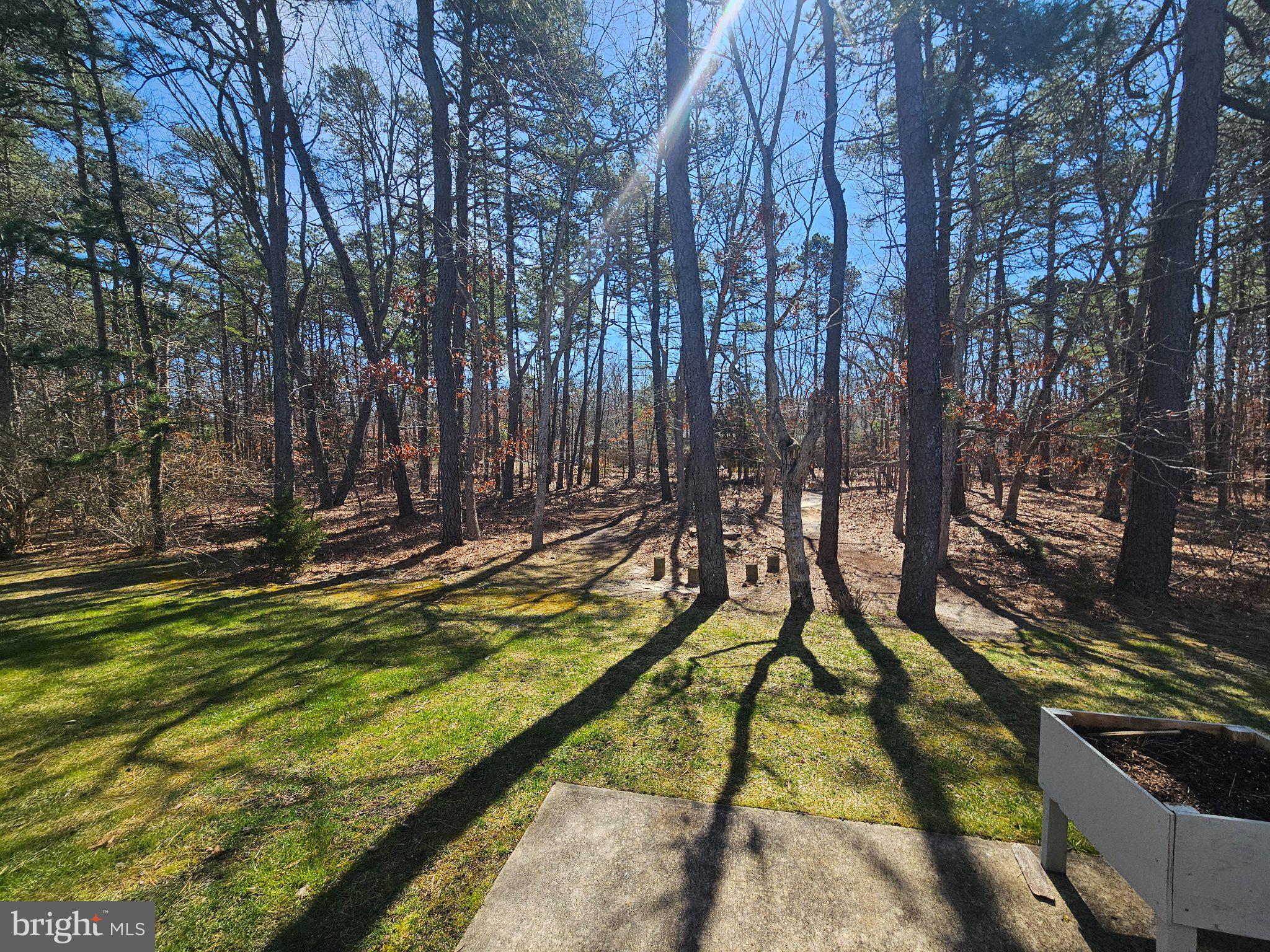 434 Golf View Drive Little Egg Harbor, NJ 08087 - Photo 22 of 24 Serene woodland retreat awaits you.