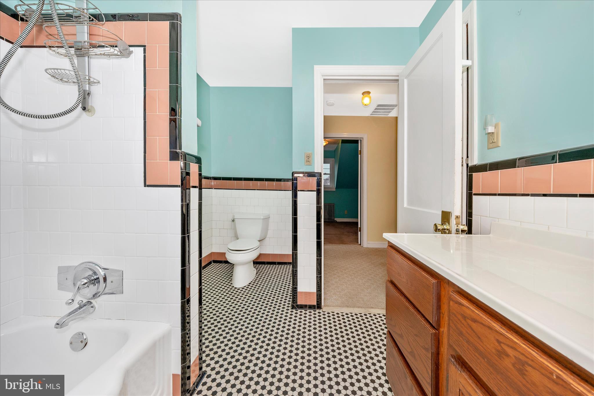 9 East 13th Street Frederick, MD 21701 - Photo 32 of 51 a bathroom with a sink and a mirror