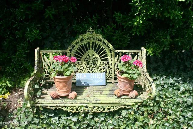 a small garden covered with tall trees