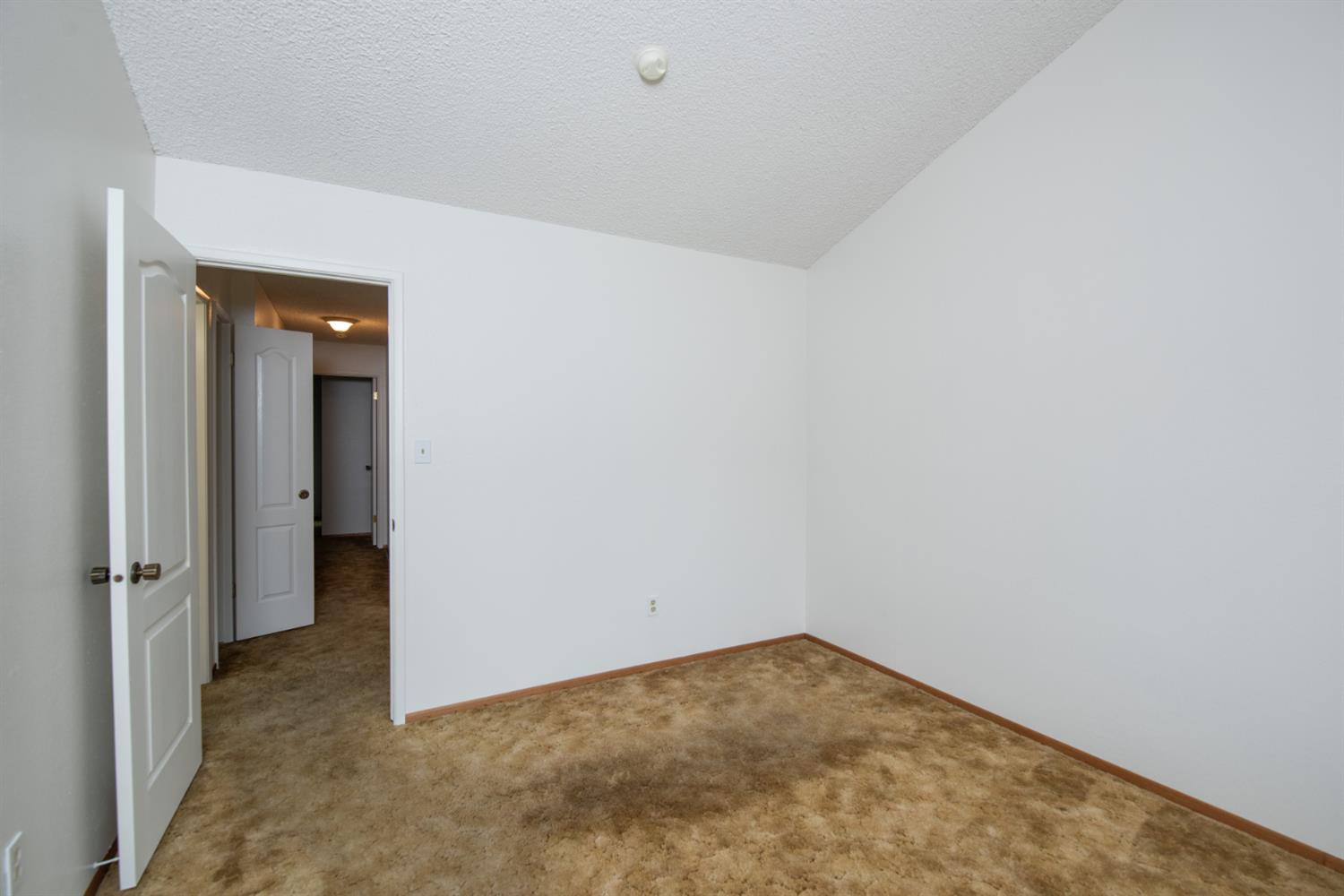 2905 Bateman Lane Modesto, CA 95354 - Photo 24 of 42