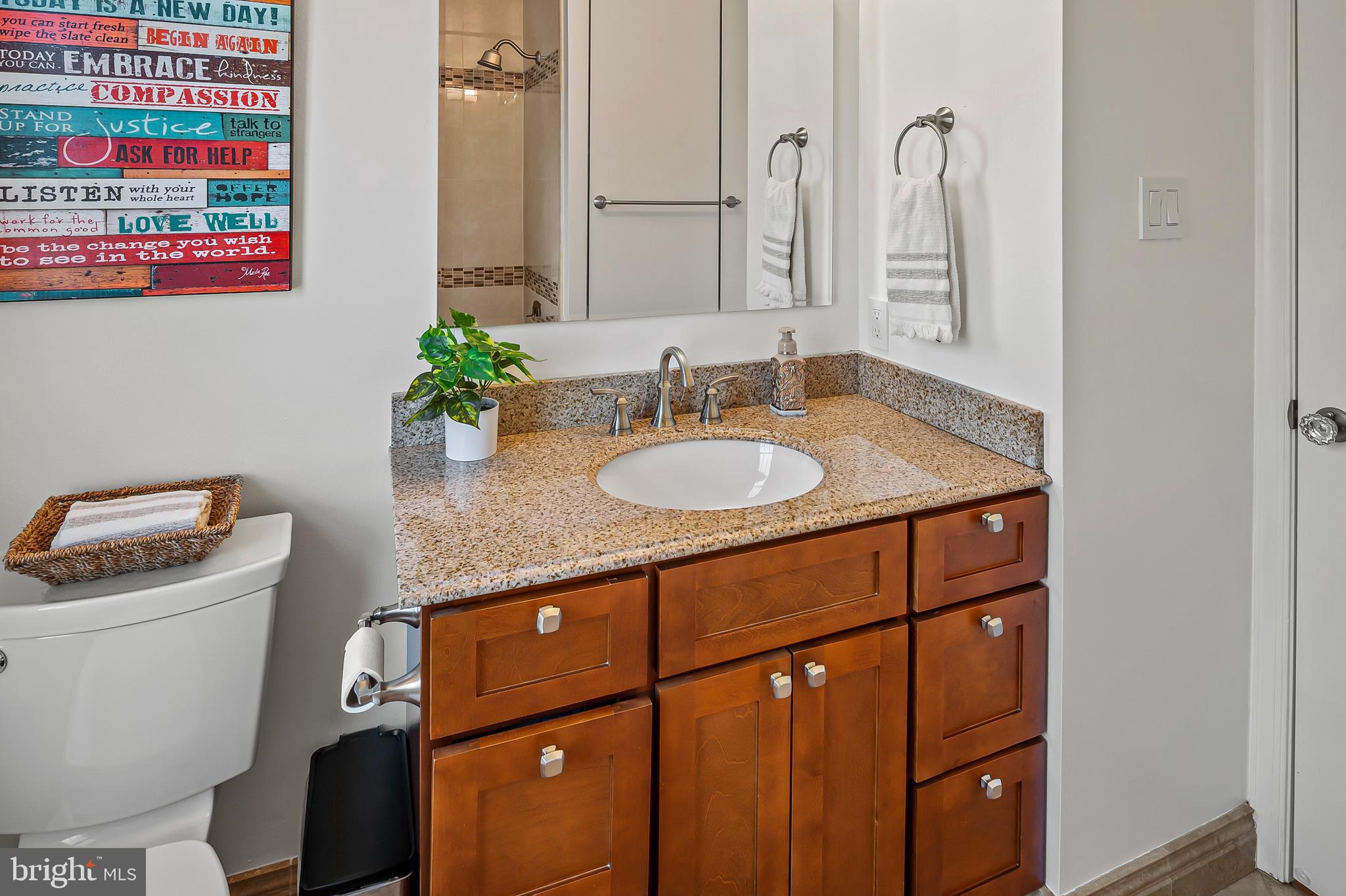 6458 Empty Song Road Columbia, MD 21044 - Photo 40 of 61 Bathroom 2 (alt view)