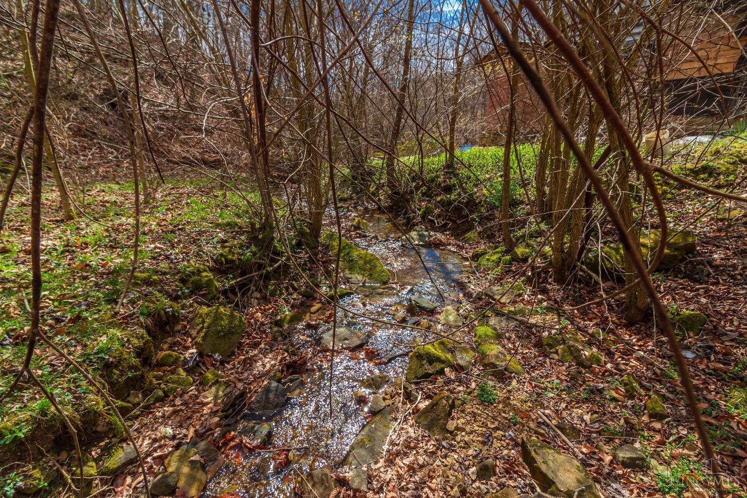 1000 Tracy Run Road Stout, OH 45684 - Photo 51 of 59 Gallery Image 51