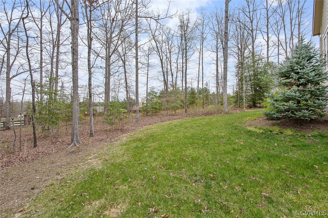 1407 Idstone Way Midlothian, VA 23112 - Photo 39 of 47