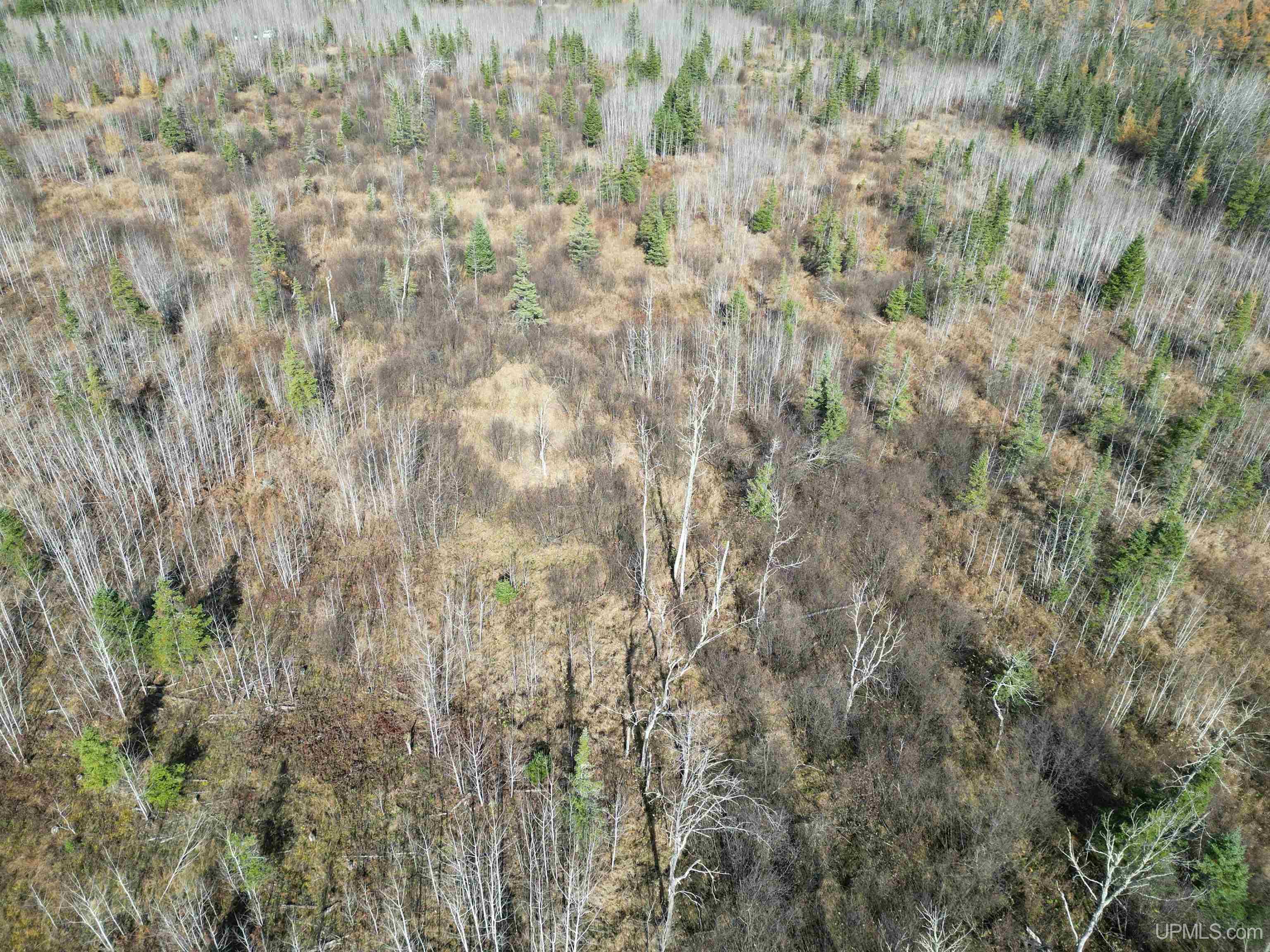 27.5 Rd 28 Acres Trail Gladstone, MI 49837 - Photo 2 of 24