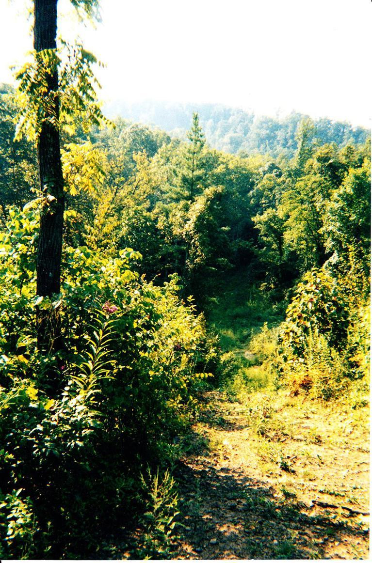 161 Tom Stamper Road Frenchburg, KY 40322 - Photo 21 of 24 Photo 21
