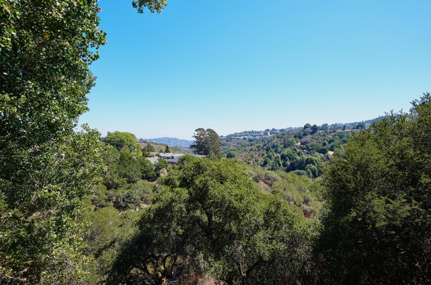 1132 Lassen Drive Belmont, CA 94002 - Photo 2 of 27 a view of a big yard with a tree