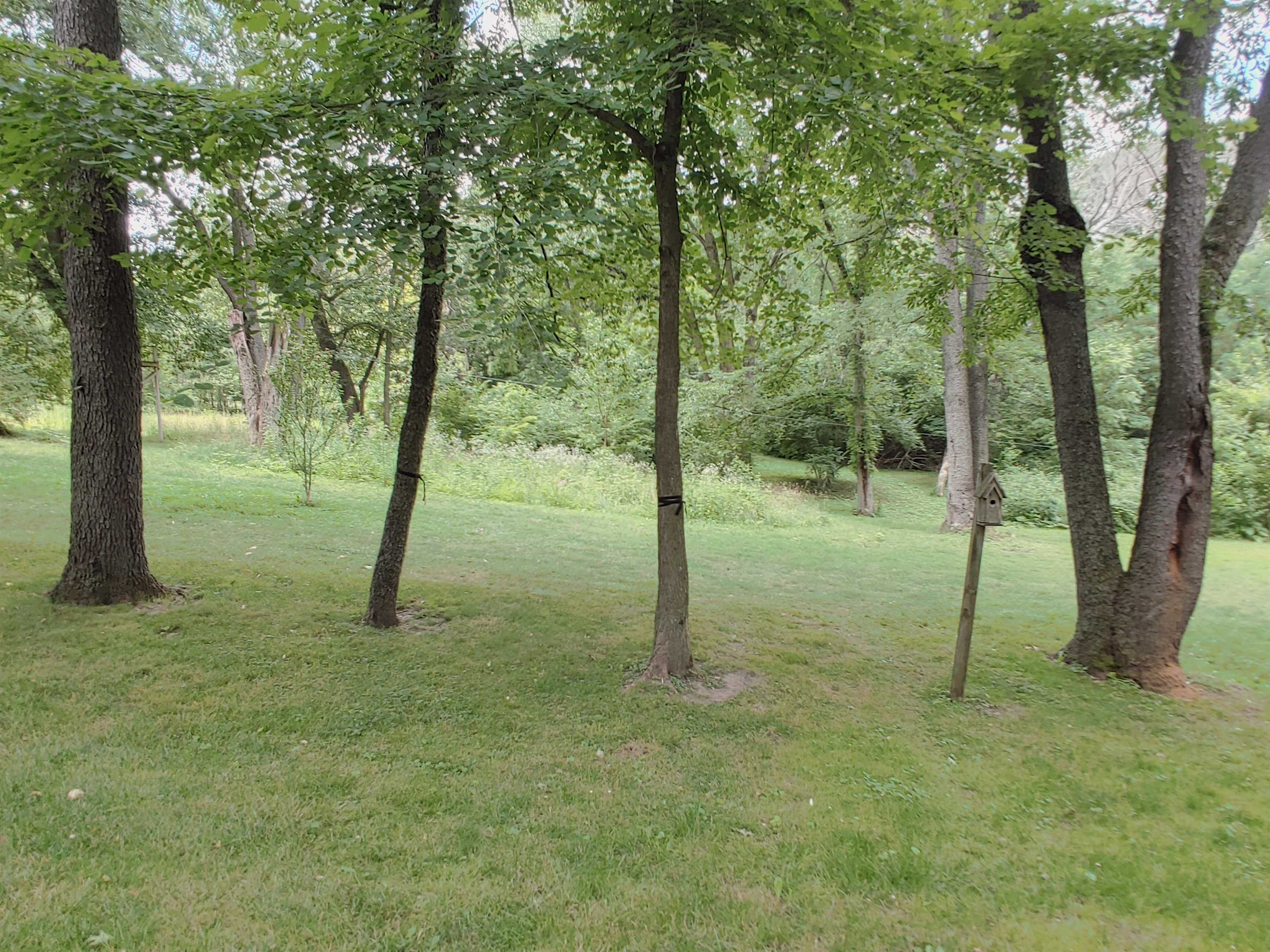 5152 Blackhawk Road Rockford, IL 61109 - Photo 19 of 31 a view of a tree in a yard