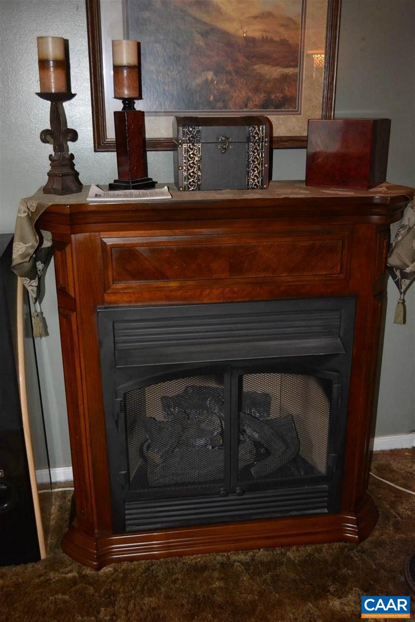 2720 Cedar Lane Road Kents Store, VA 23084 - Photo 8 of 27 a close view of a fireplace in a room