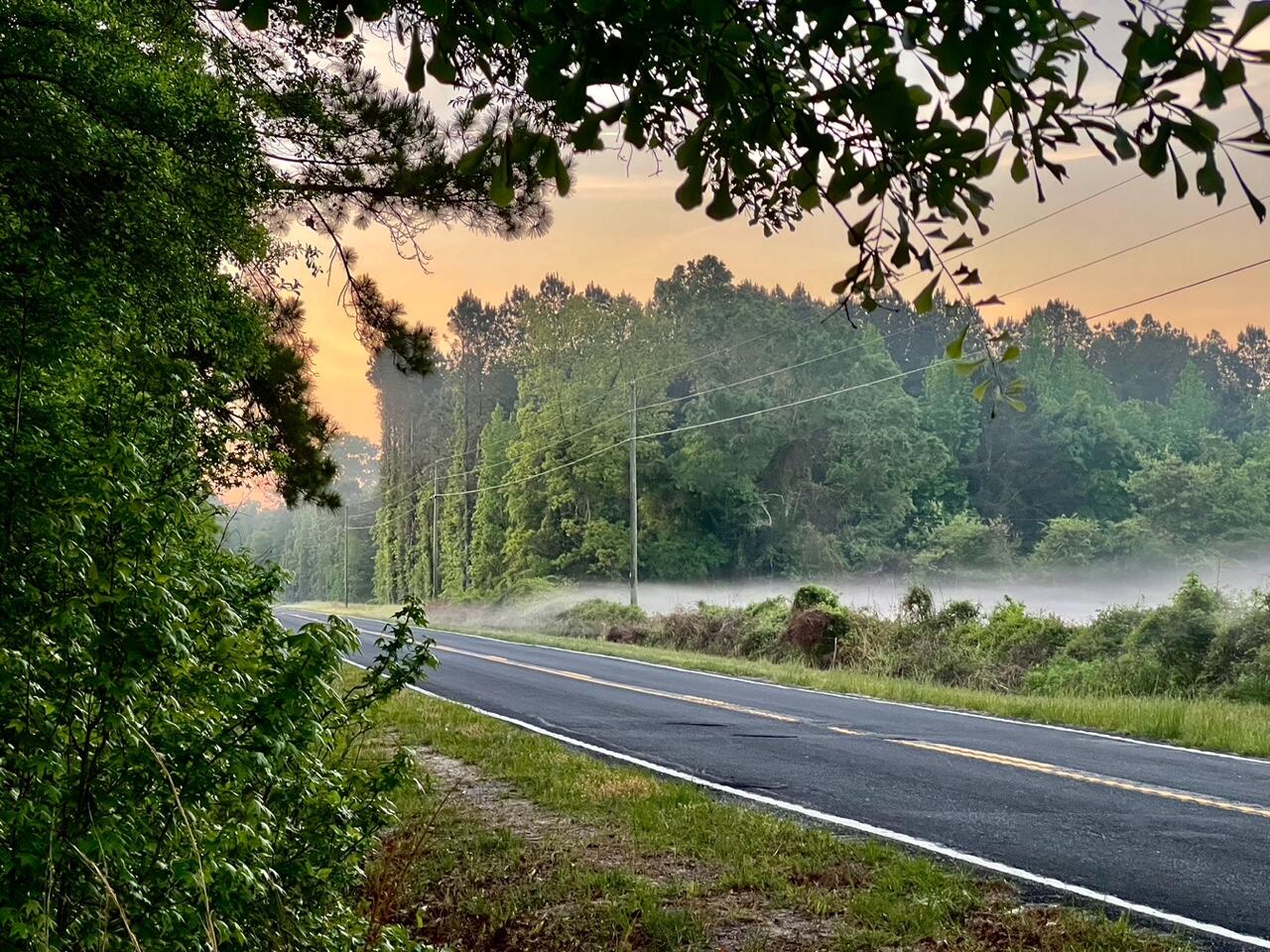 0 Wire Road Reevesville, SC 29471 - Photo 6 of 14