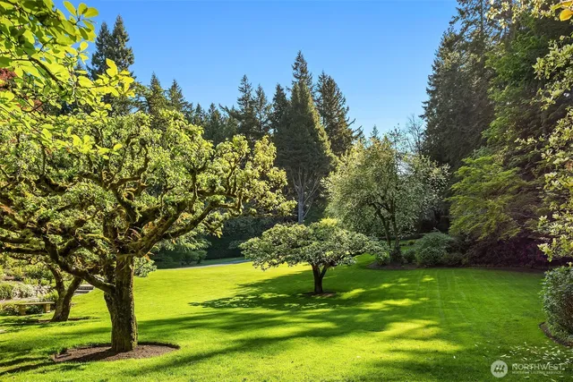 a view of a hallway with windows
