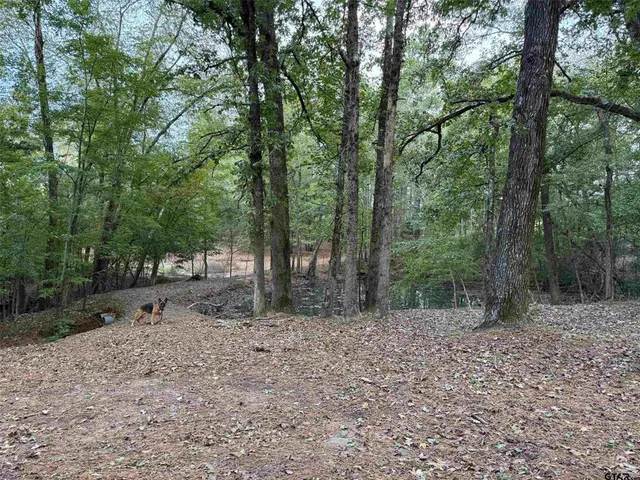 a backyard of a house with lots of trees