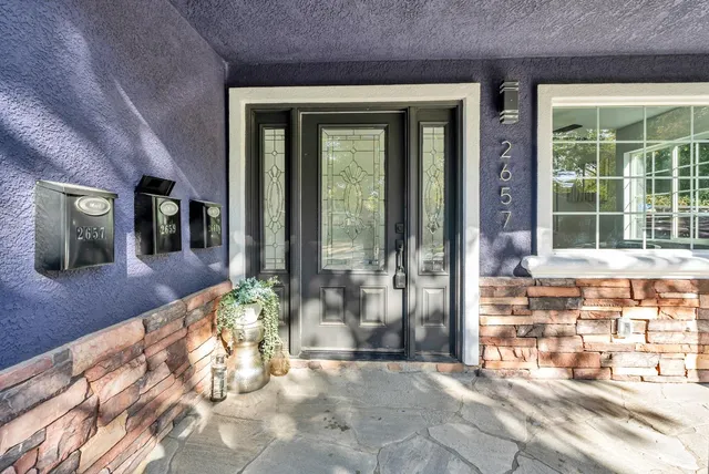 a living room filled with furniture and a potted plant