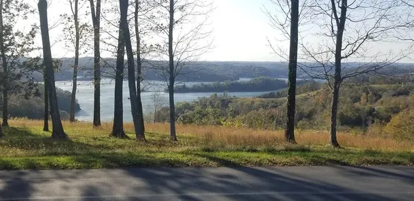 a view of a park with large trees