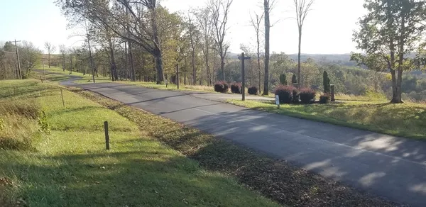 a view of a park with large trees