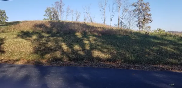a view of a yard