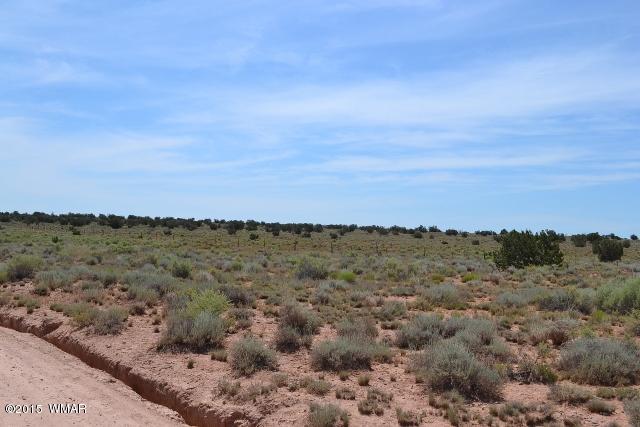 5083 Old Woodruff Road Snowflake, AZ 85937 - Photo 17 of 17 Gallery Image 17