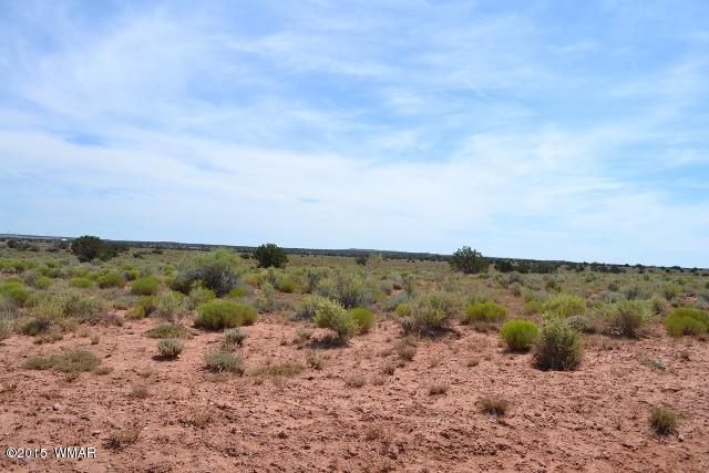 5083 Old Woodruff Road Snowflake, AZ 85937 - Photo 3 of 17 Gallery Image 3