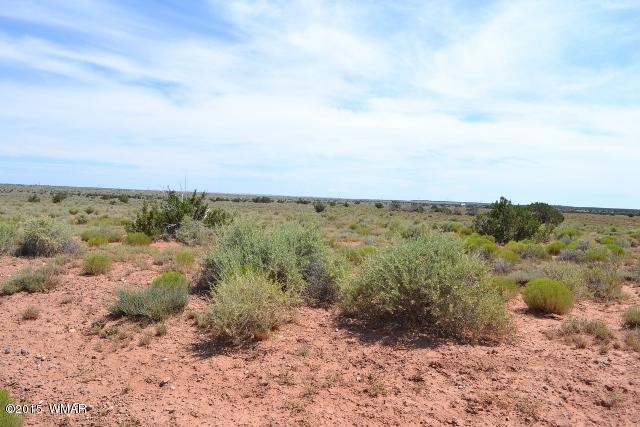 5083 Old Woodruff Road Snowflake, AZ 85937 - Photo 8 of 17 Gallery Image 8