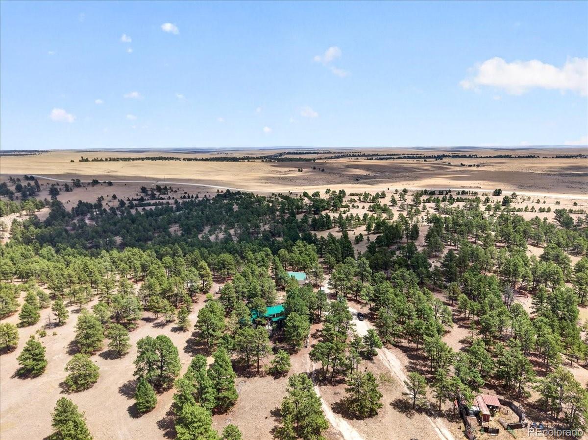 32901 Ridge Road Ramah, CO 80832 - Photo 14 of 50 Gallery Image 14