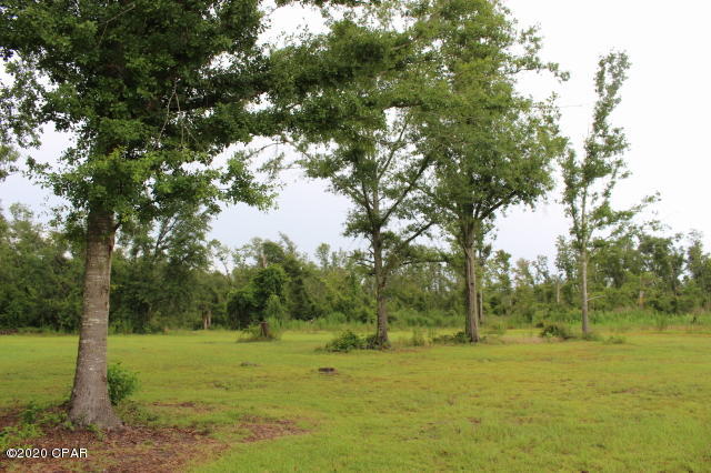 1848 Highway 69 Grand Ridge, FL 32442 - Photo 5 of 57 Gallery Image 5