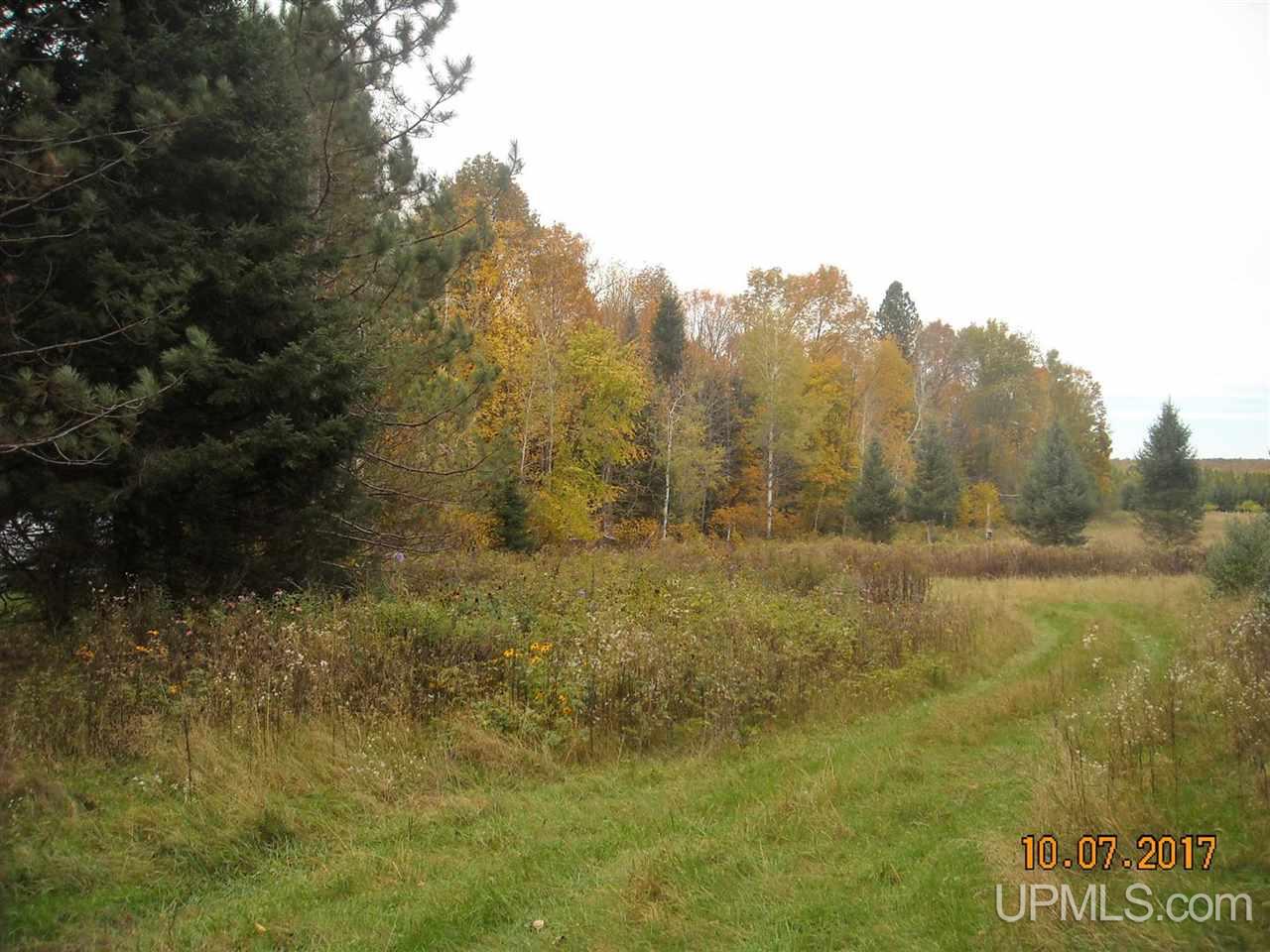 T-wi Ben Nichols Road Fence, WI 54120 - Photo 1 of 5 Gallery Image 1