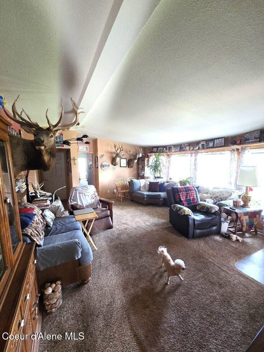 871 Foothill Drive Athol, ID 83801 - Photo 12 of 46 Lving room