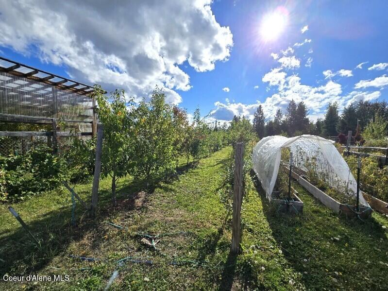 871 Foothill Drive Athol, ID 83801 - Photo 25 of 46 Fenced garden area