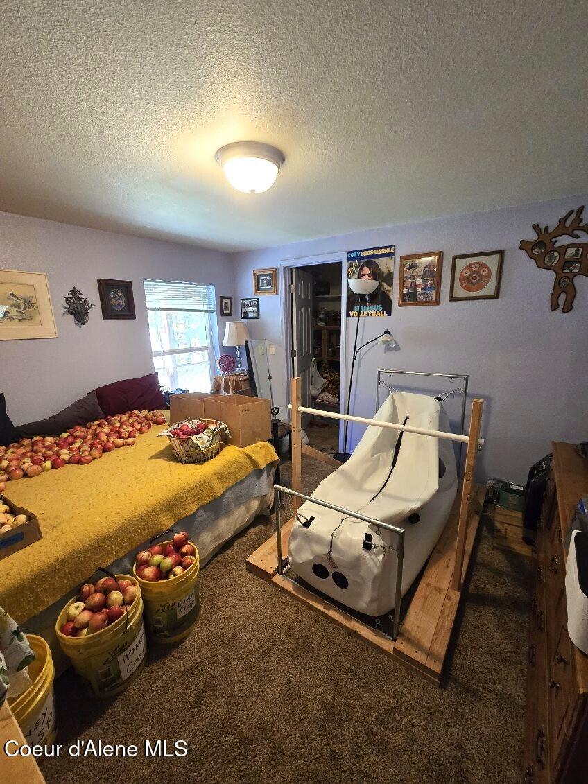 871 Foothill Drive Athol, ID 83801 - Photo 8 of 46 2nd bedroom