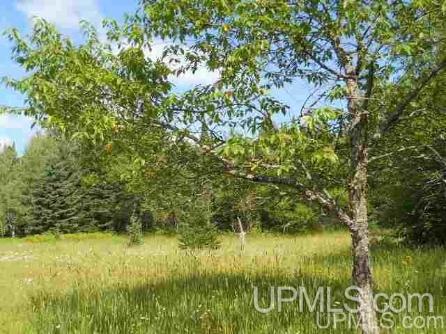 Tbd Tbd Off Stagecoach Road Michigamme, MI 49861 - Photo 10 of 37
