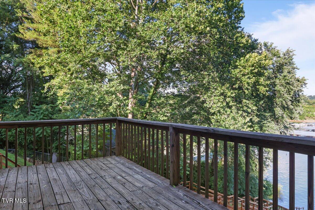 427 Gammon Road Kingsport, TN 37663 - Photo 21 of 68 46-IMG_9885