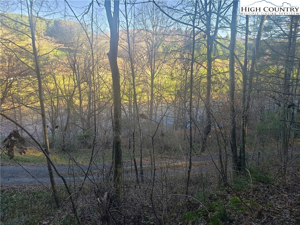 Lot 12 Riverside Lane Crumpler, NC 28617 - Photo 3 of 20 Gallery Image 3